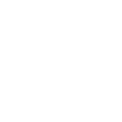 MAIN