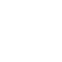 STT