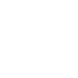 WSM