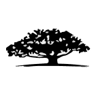 WisdomTree Middle East Dividend Fund